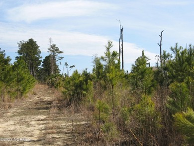 Beach Acreage For Sale in Barco, North Carolina