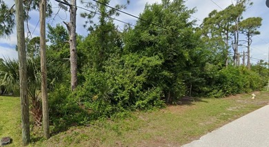 Beach Lot For Sale in Englewood, Florida