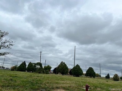 Beach Lot For Sale in Detroit, Michigan