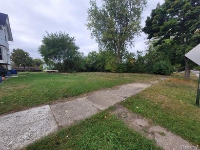 Beach Lot For Sale in Detroit, Michigan
