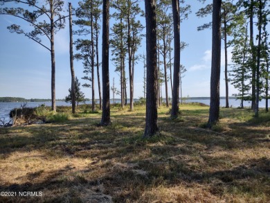 Beach Acreage Off Market in Merritt, North Carolina