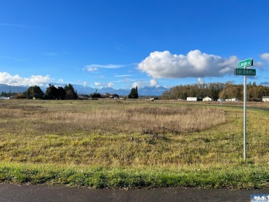 Beach Lot For Sale in Sequim, Washington