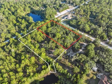 Beach Lot For Sale in Weeki Wachee, Florida