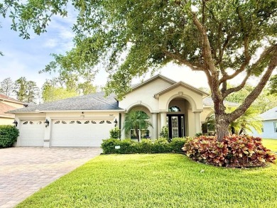 Beach Home For Sale in Land O Lakes, Florida