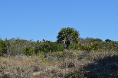 Beach Lot Off Market in Bald Head Island, North Carolina