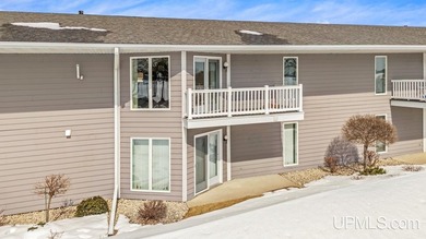 Beach Condo For Sale in Gladstone, Michigan