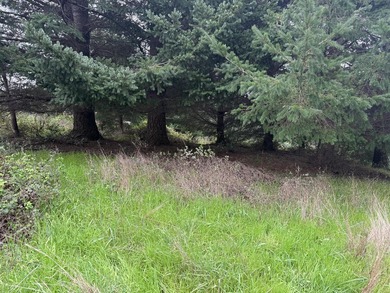 Beach Lot For Sale in Shelter Cove, California