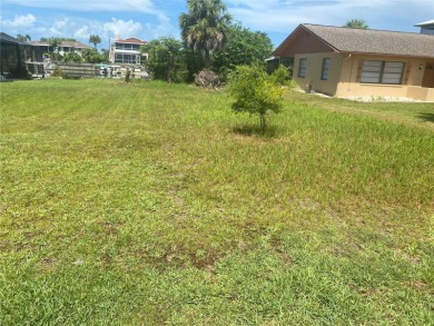 Beach Lot For Sale in Hernando Beach, Florida