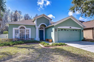Beach Home Sale Pending in Land O Lakes, Florida