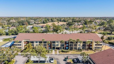 Beach Condo For Sale in Tampa, Florida