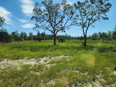 Beach Acreage For Sale in Perry, Florida