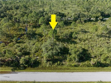 Beach Lot For Sale in Port Charlotte, Florida