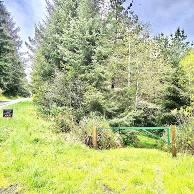 Beach Lot For Sale in Loleta, California