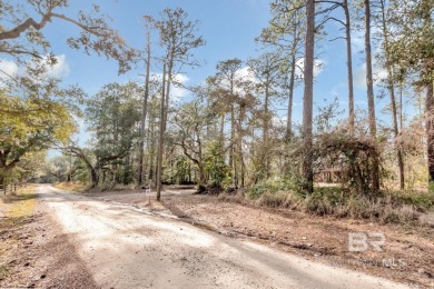 Beach Acreage For Sale in Coden, Alabama