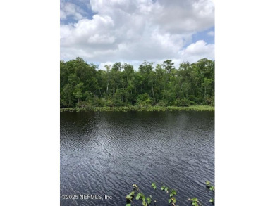 Beach Acreage For Sale in Saint Johns, Florida