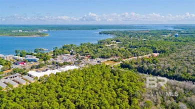 Beach Acreage For Sale in Orange Beach, Alabama