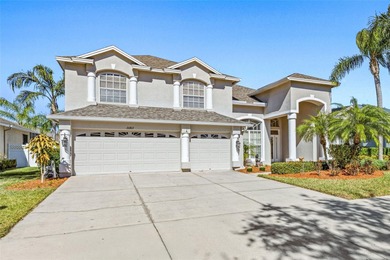 Beach Home For Sale in Land O Lakes, Florida
