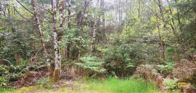 Beach Lot For Sale in Ocean Park, Washington