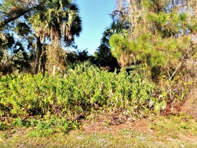 Beach Lot For Sale in North Port, Florida