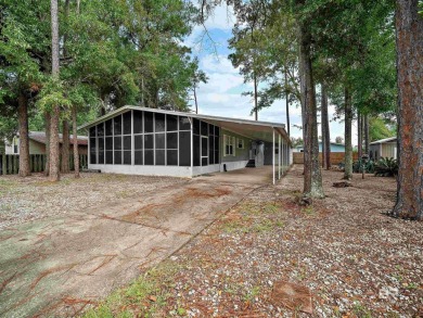 Beach Home For Sale in Lillian, Alabama