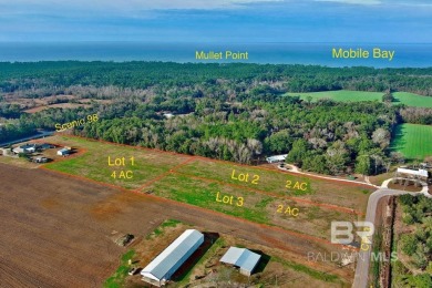 Beach Acreage For Sale in Fairhope, Alabama