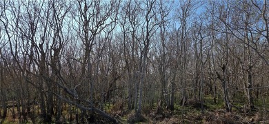 Beach Acreage For Sale in Rockport, Texas