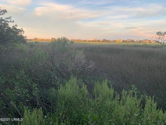 Beach Lot Off Market in Fripp Island, South Carolina