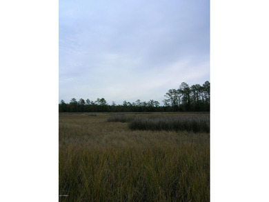 Beach Acreage For Sale in Newport, North Carolina