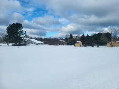 Beach Lot For Sale in Manistee, Michigan