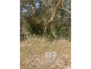 Beach Lot For Sale in Orange Beach, Alabama