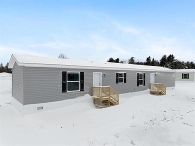 Beach Home For Sale in Alanson, Michigan