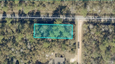 Beach Lot For Sale in Milton, Florida