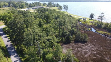 Beach Acreage For Sale in Vandemere, North Carolina