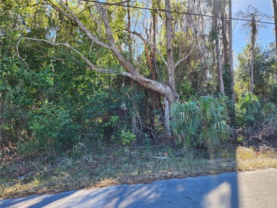 Beach Lot For Sale in New Port Richey, Florida