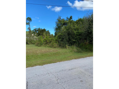 Beach Lot Off Market in Palm Coast, Florida