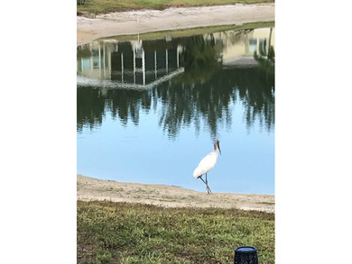 Beach Home For Sale in North Fort Myers, Florida