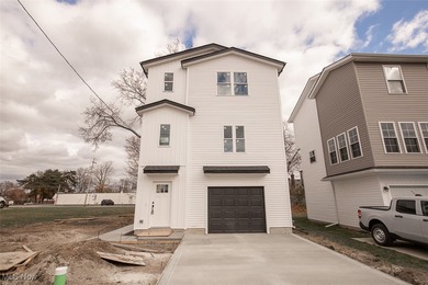 Beach Home For Sale in Willoughby, Ohio