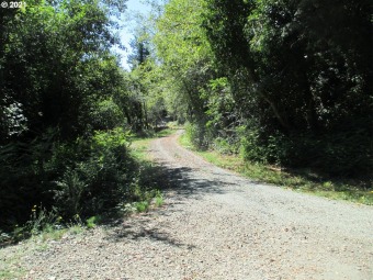 Beach Acreage Off Market in Bandon, Oregon