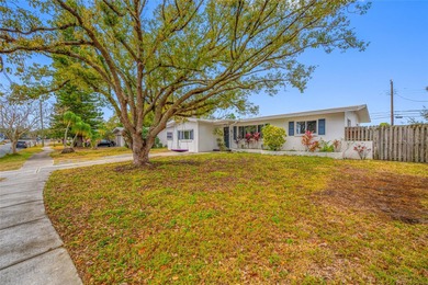 Beach Home For Sale in Dunedin, Florida