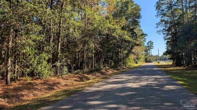 Beach Lot For Sale in Milton, Florida