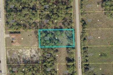 Beach Lot For Sale in Lehigh Acres, Florida