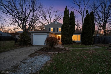 Beach Home For Sale in Eastlake, Ohio