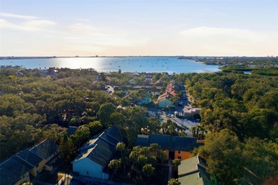 Beach Condo For Sale in St. Petersburg, Florida
