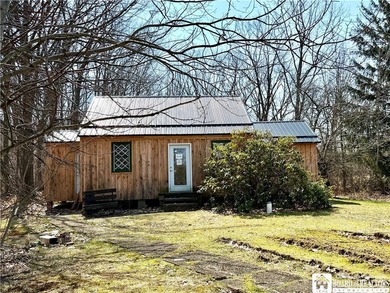 Beach Home For Sale in Silver Creek, New York