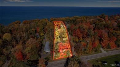 Beach Lot For Sale in Evans, New York