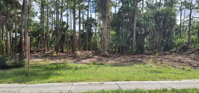 Beach Lot For Sale in Lehigh Acres, Florida