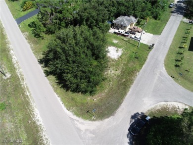 Beach Lot For Sale in Lehigh Acres, Florida