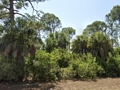 Beach Lot For Sale in Rotonda West, Florida