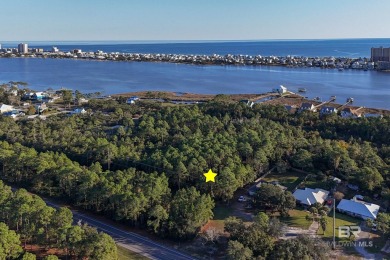 Beach Lot For Sale in Gulf Shores, Alabama