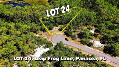 Beach Lot For Sale in Panacea, Florida